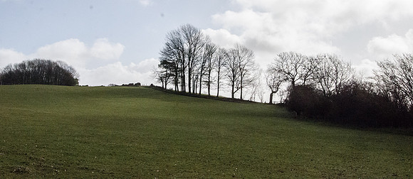 Above Saltridge Wood, near Cranham, Gloucestershire