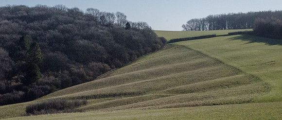Above Foxcote