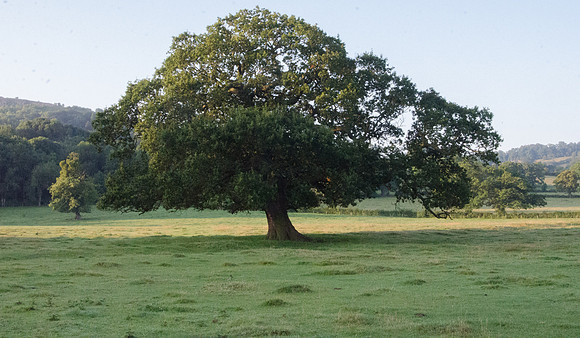 Leckhampton, Gloucestershire