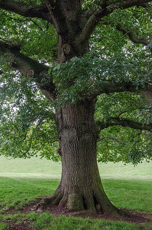 Bromsberrow Place, Gloucestershire
