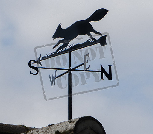 Fox (I suppose) at Adlestrop, Gloucestershire