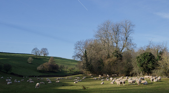 Lower Dean