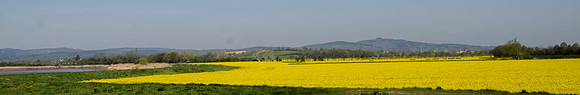 May Hill from the Severn East bank near Longney