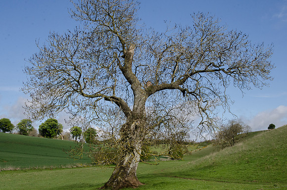 Near Notgrove, Gloucestershire