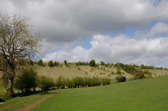 near Turkdean