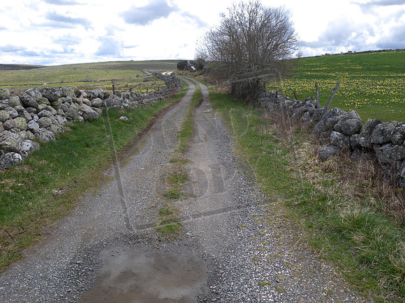 The Voie du Puy approaching Rieutort d'Aubrac