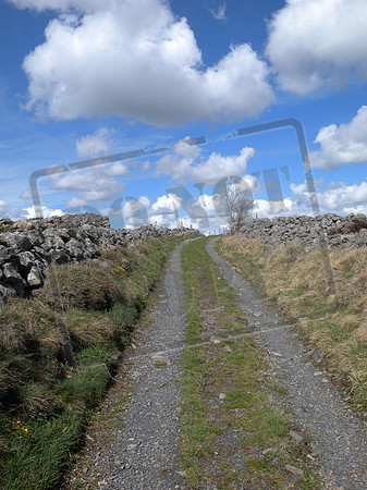 Nice path, but not the Voie du Puy