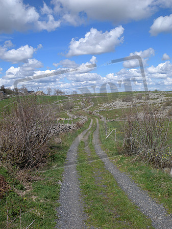 Nice path, but not the Voie du Puy - continued
