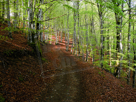Ascending from Saint-Chély-d'Aubrac