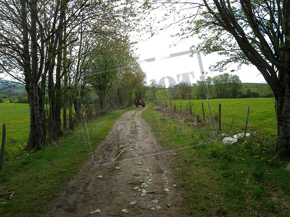 Heavy traffic on the Voie du Puy!