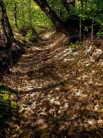 On the way to Saint-Côme-d'Olt