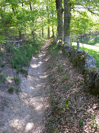 Near Massip
