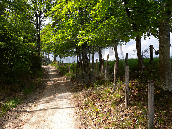 After Espeyrac on the Voie du Puy