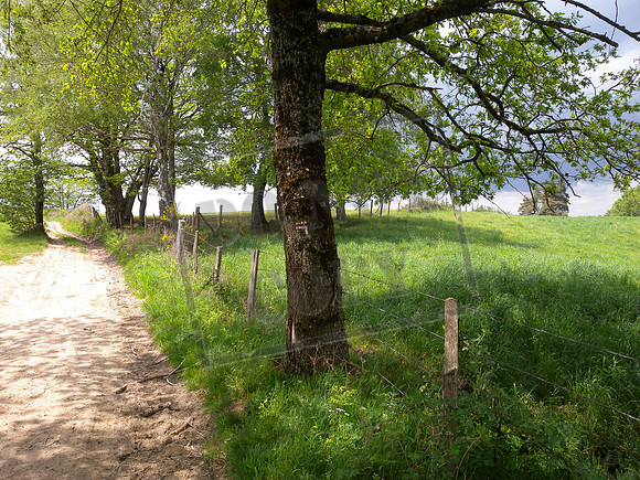 Left turn ahead on the Voie du Puy