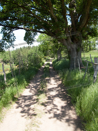After Livinhac on the Voie du Puy