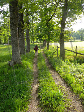 The Voie du Puy, pilgrim path