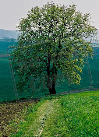 Nearing Castet-Arrouy