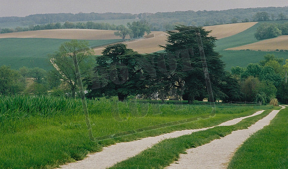 The valley of the Auvignon