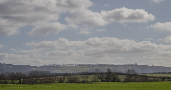 The Cotswold escarpment from near Dumbleton, with the line of trees running SW from Stumps Cross, towards the Beckbury clump