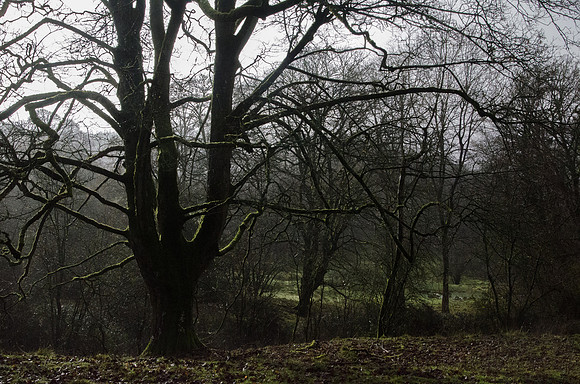 below Sudgrove, Gloucestershire
