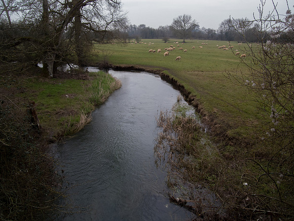The River Churn near South Cerney