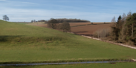Near Turkdean