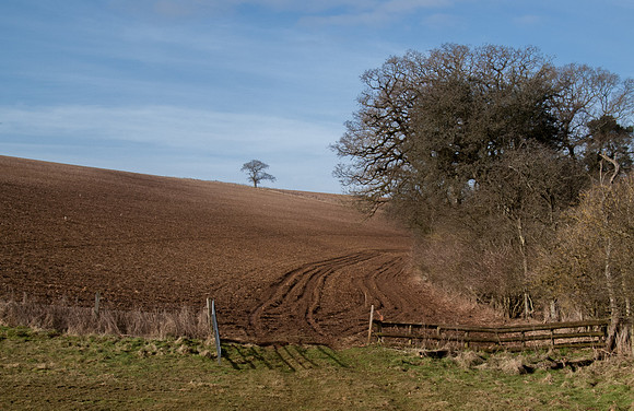 Near Turkdean
