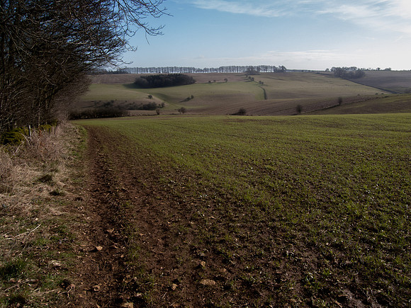 Near Notgrove