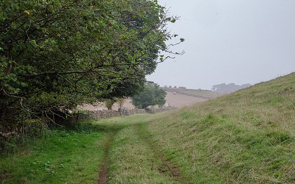 Near Westonbirt