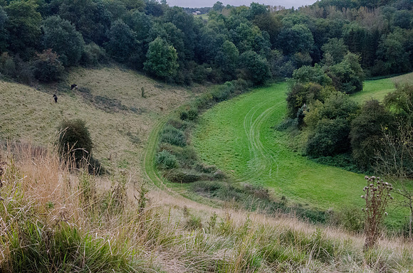 Above Honeycombe Farm, The Camp