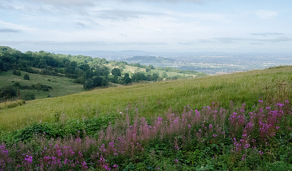 The Crippets, Churchdown Hill and the Severn Vale from Leckhampton Hill: 2nd September