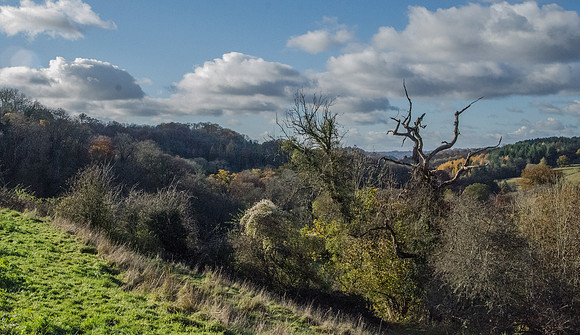 Looking down the Frome Valley from below Sapperton Church