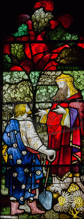 Detail from Hardman window in the church of St Mary, Ecclesfield (Luke 13:8 - the parable of the barren fig tree)