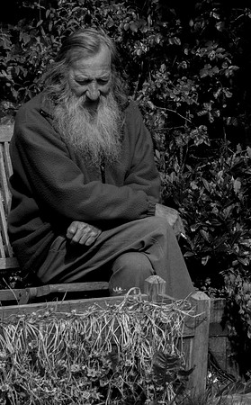Druidstone