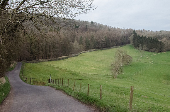 The road below Humblebee Haw