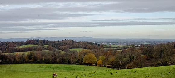 Battledown, the Severn Vale and the Malverns from above Ham