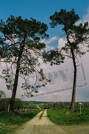 Towards Manciet, the Gers, France