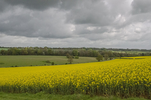 Looking across the rape towards Coates church, from Tarlton