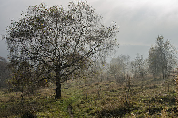 On the Cotswold Way above the Edgemoor Inn