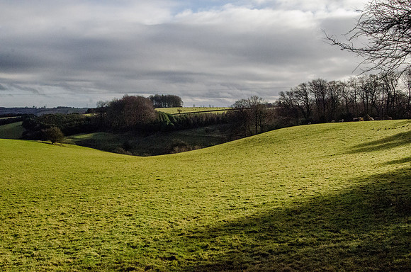 Above Coldwell Bottom