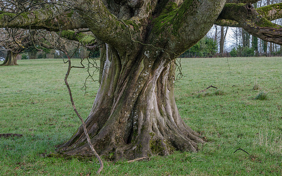 Salperton, Gloucestershire