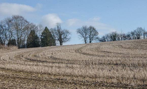 Above Colesbourne, Gloucestershire