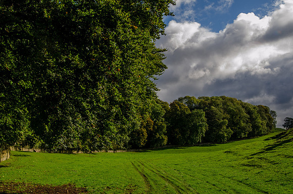 East of Furzenhill Barn, Hampnett