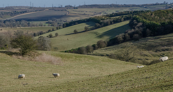 Looking across the Churn Valley towards Needlehole from near Rushwood Kennels