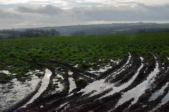 Looking towards the Somerset Monument near Hawkesbury Upton, from above Alderley