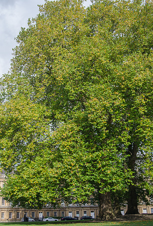 Royal Crescent, Bath