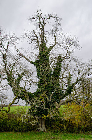 Near North Cerney