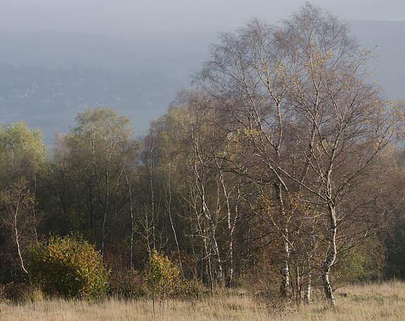 On the Cotswold Way above the Edgemoor Inn