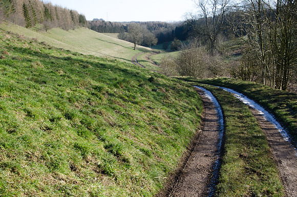 From Hillclose Grove, Elkstone, Gloucestershire