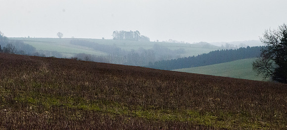 Towards Bagendon